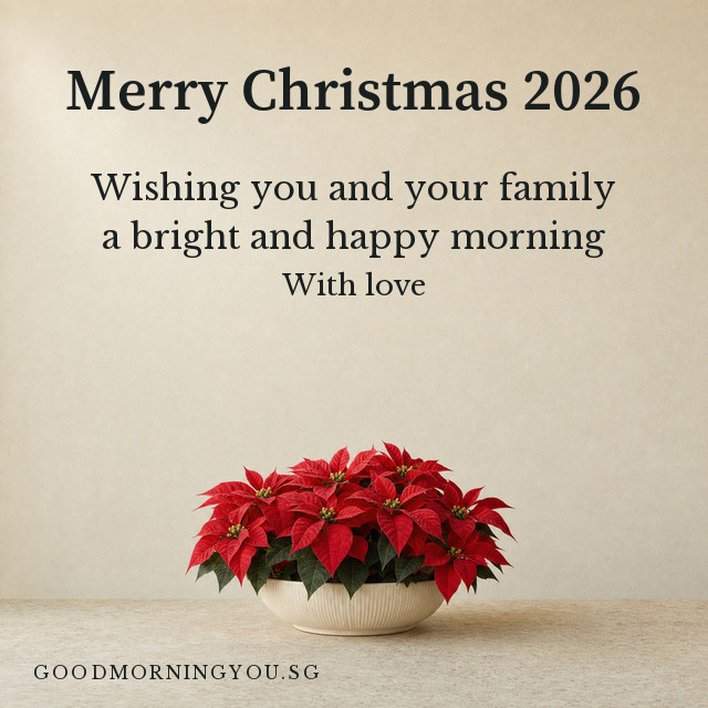 Merry Christmas card with a red poinsettia in a white bowl in soft morning light