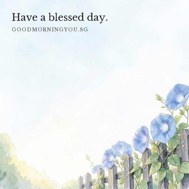 Blue morning glories climbing a picket fence under a pale sky. Have a blessed day.