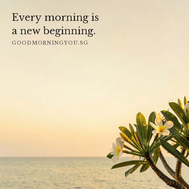 Frangipani branches before a calm sea horizon at sunrise. Every morning is a new beginning.