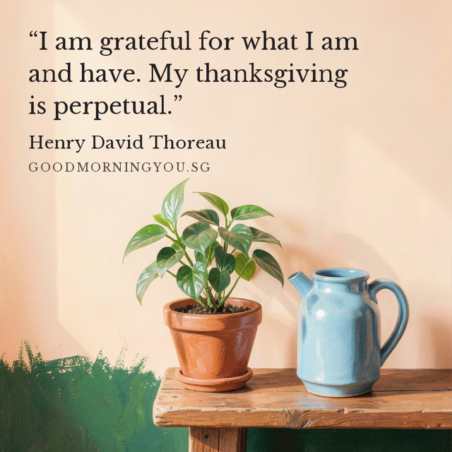 A leafy potted plant and blue jug on a sunlit wooden table. “I am grateful for what I am and have. My thanksgiving is perpetual.” — Henry David Thoreau