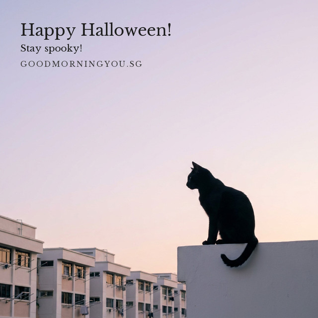 A black cat sitting on a white HDB parapet against a lilac dawn sky, with HDB blocks below, and the words "Happy Halloween! Stay spooky!"