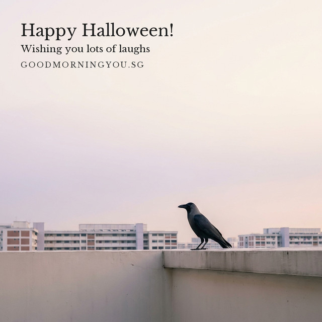 A house crow standing on a concrete HDB parapet at dawn, with HDB blocks behind, and the words "Happy Halloween! Wishing you lots of laughs"