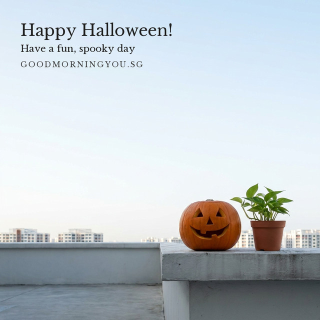 A carved jack-o'-lantern beside a potted plant on an HDB rooftop parapet, with blocks in the distance, and the words "Happy Halloween! Have a fun, spooky day"
